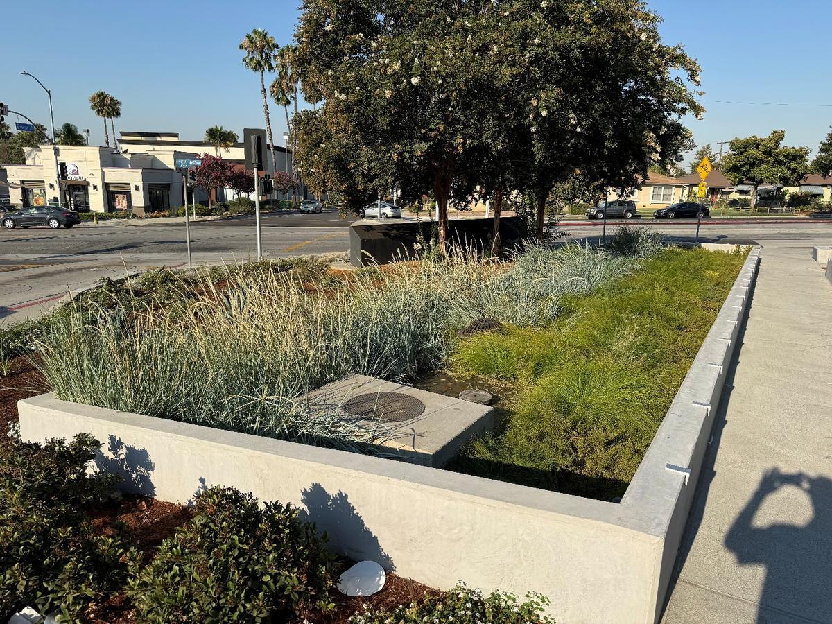 Biofiltration planter at East Los Angeles College