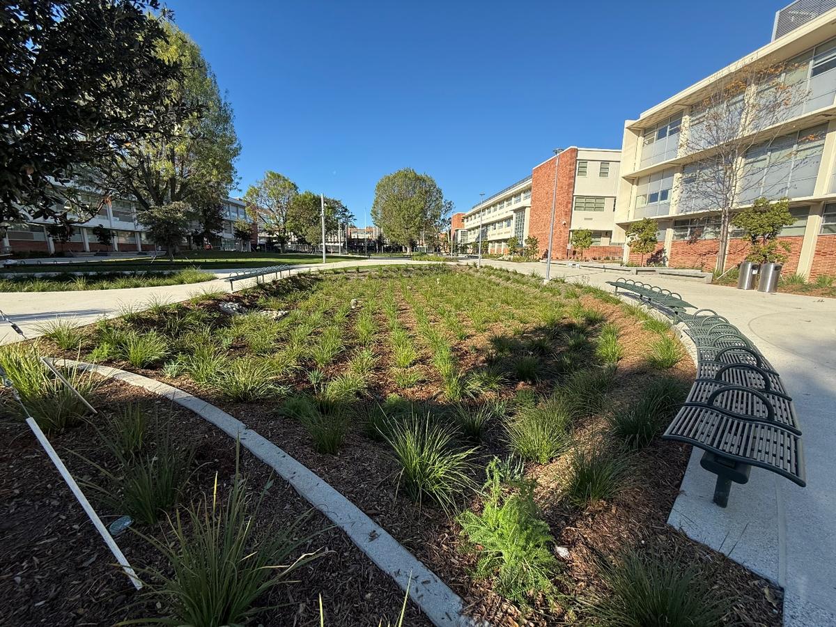 Biofiltration planters in the Los Angeles City College central quad