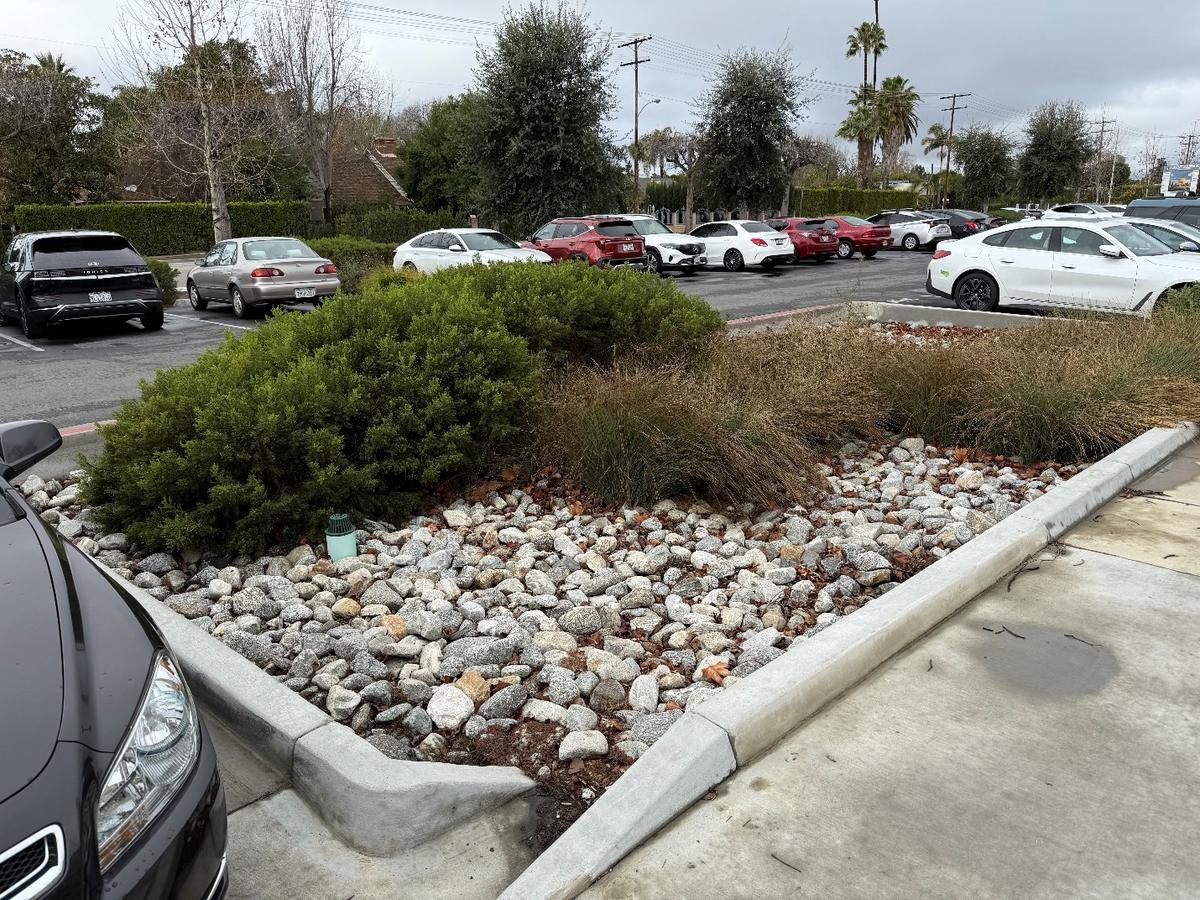 Biofiltration bulb-out on College Road at Los Angeles Valley College