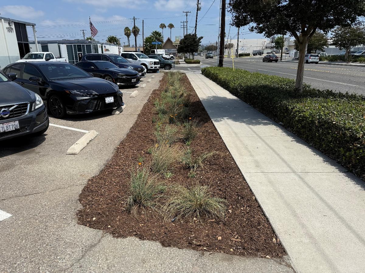 Bioretention system at the Orange County Conservation Corps headquarters