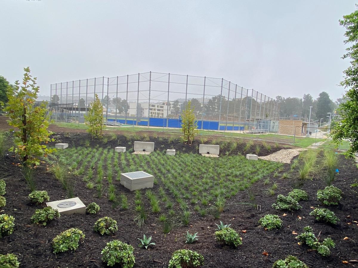 Bioretention basin next to the baseball field at West Los Angeles College