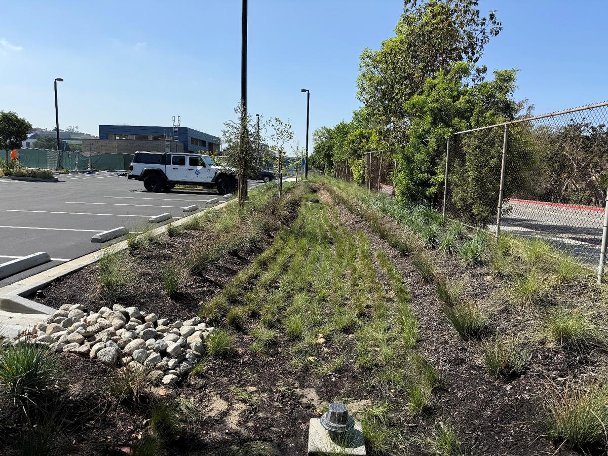 Biofiltration system beside the football field parking lot at West Los Angeles College